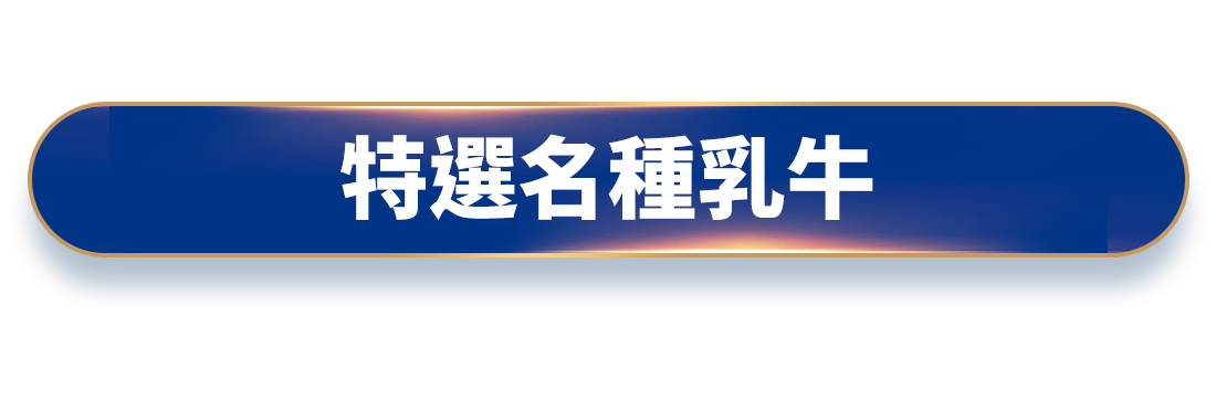 特選名種乳牛