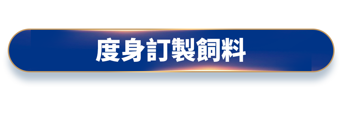 度身訂製飼料