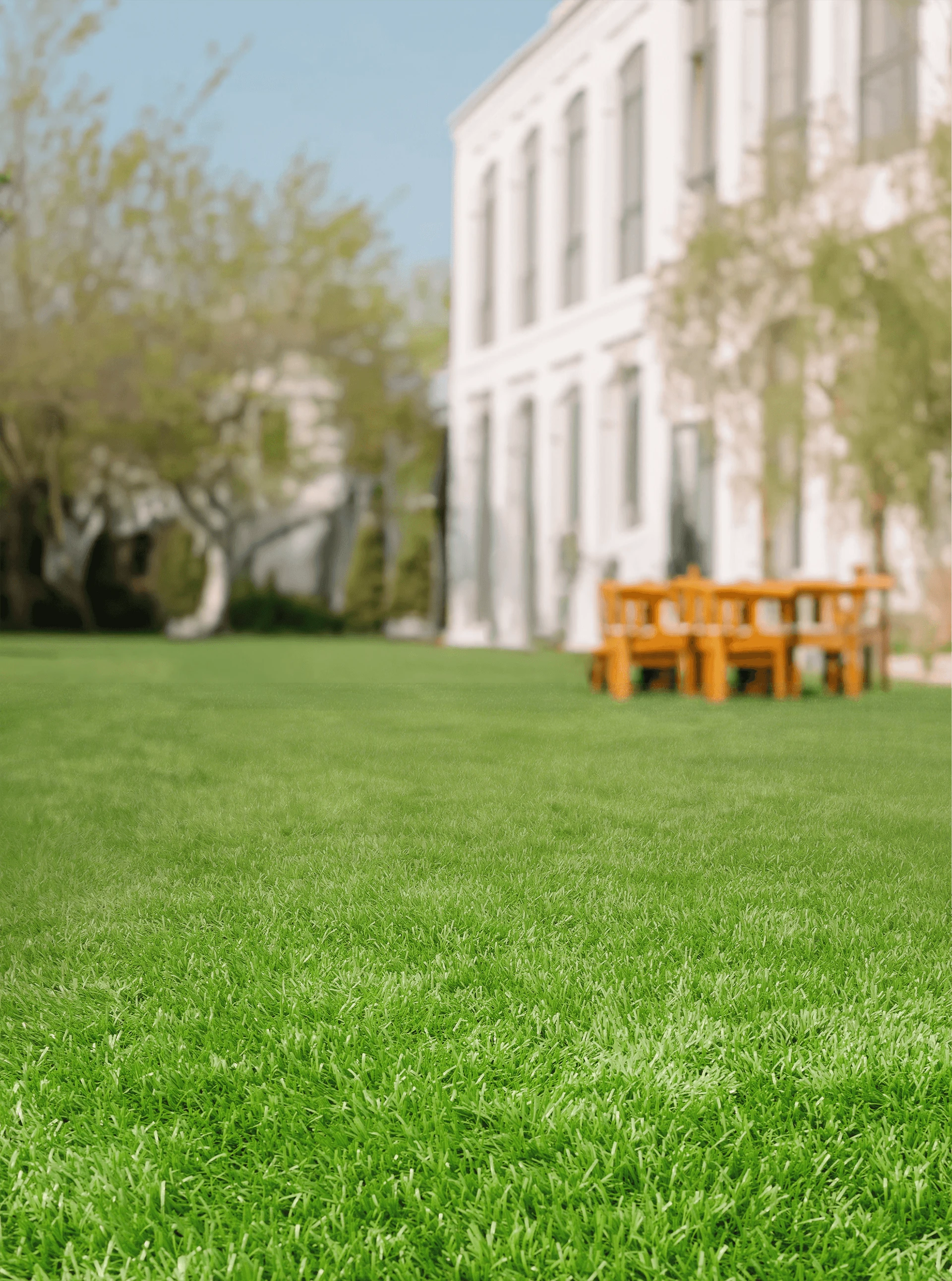 Playground Background