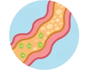 認識益生菌（probiotics）