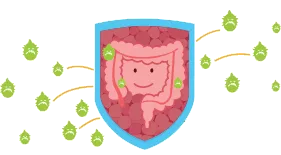認識益生菌（probiotics）