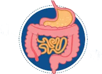 認識益生菌（probiotics）