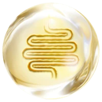 flom_icon1