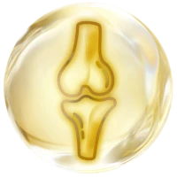 flom_icon3