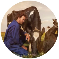 frisomum_te_icon01