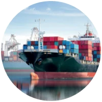 frisomum_te_icon03