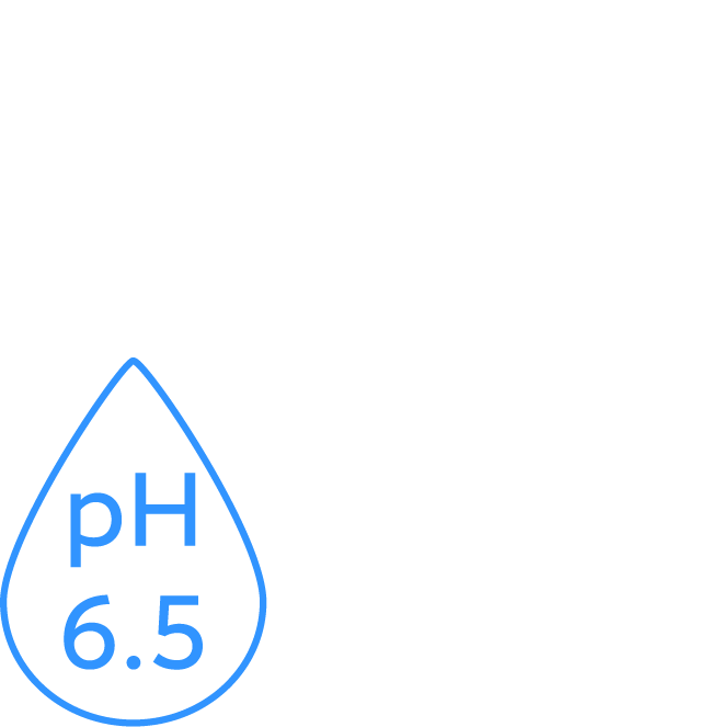 icon_rtb_01_03.webp