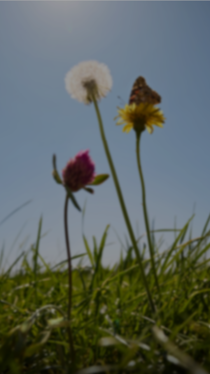 rtb_still_00_dt.webp