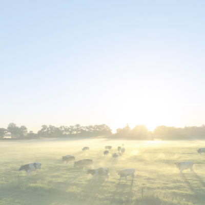 farm desktop