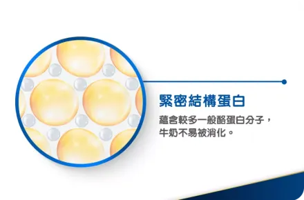 一般牛奶