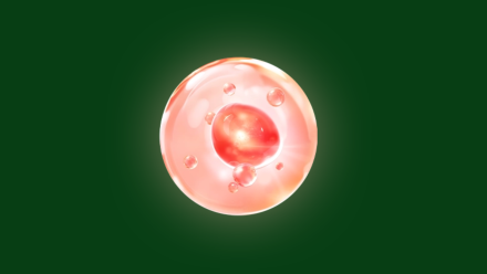 Lactoferrin