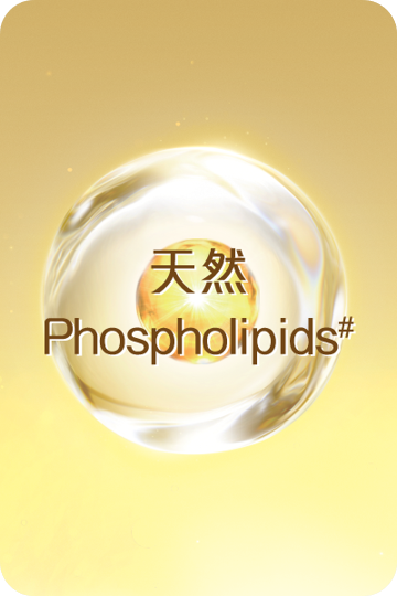 天然Phospholipids_0.png 