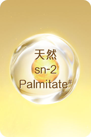 sn2 Palmitate