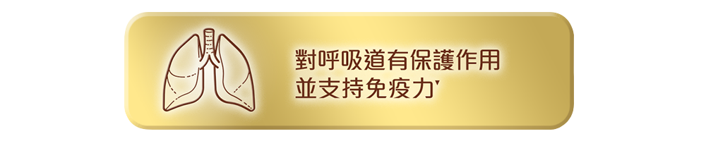 對呼吸道有保護作用並支持免疫力.png 