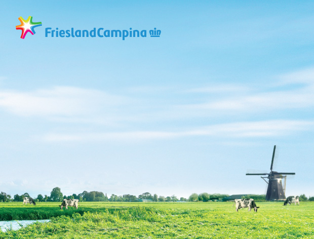 friso website banner about us