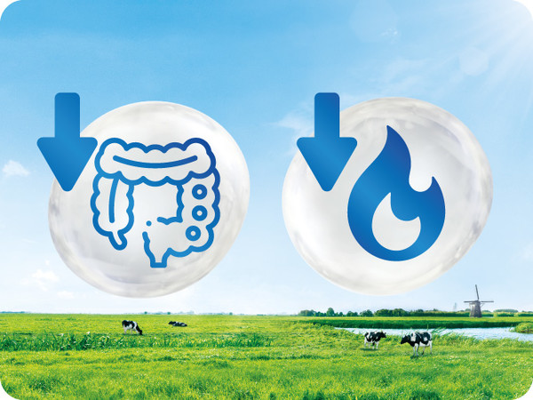 Friso_Gold_Website_Banner_667x500_20230829_v02-03.jpg